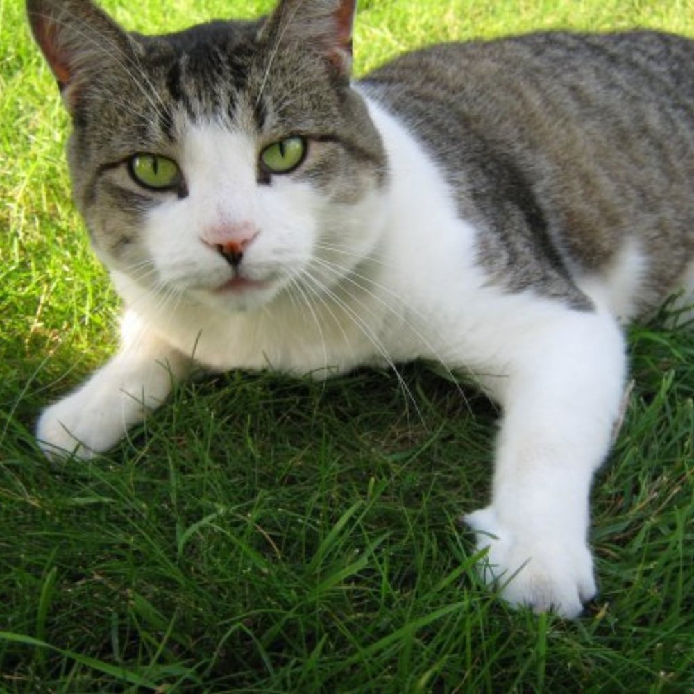 ACCEPTING REASONABLE OFFERS